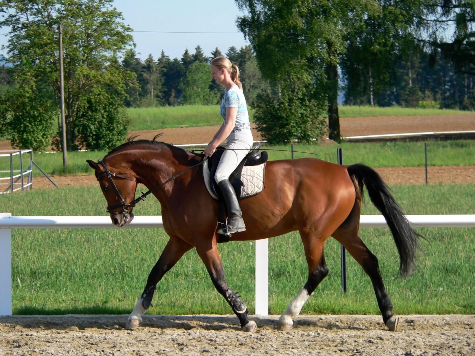 Danes jahanje konj ponuja priložnost za stik z naravo